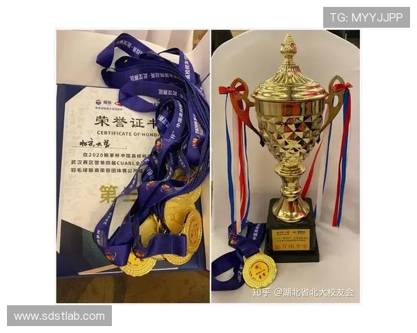 深圳羽毛球队选拔赛点评:状态表现分析与未来展望 深圳羽毛球队选拔赛点评:状态表现分析与未来展望