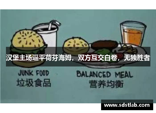 汉堡主场逼平荷芬海姆，双方互交白卷，无独胜者