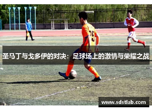 圣马丁与戈多伊的对决：足球场上的激情与荣耀之战