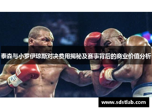 泰森与小罗伊琼斯对决费用揭秘及赛事背后的商业价值分析