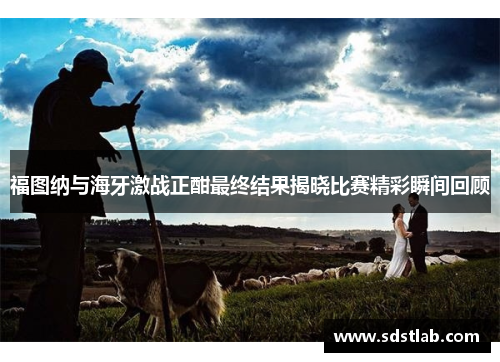 福图纳与海牙激战正酣最终结果揭晓比赛精彩瞬间回顾