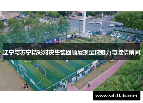 辽宁与苏宁精彩对决集锦回顾展现足球魅力与激情瞬间